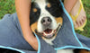 Handtuch für Hunde - Favoriten gegen Nässe