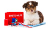 Hundeapotheke - Auflistung Medikamente & Hilfsmittel