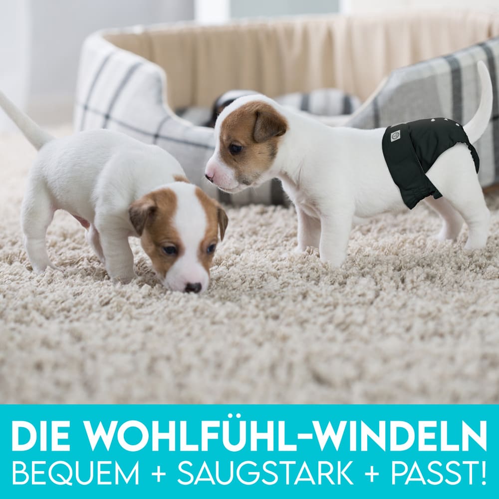 3x Saugstarke Hundewindeln Schwarz für Hündinnen