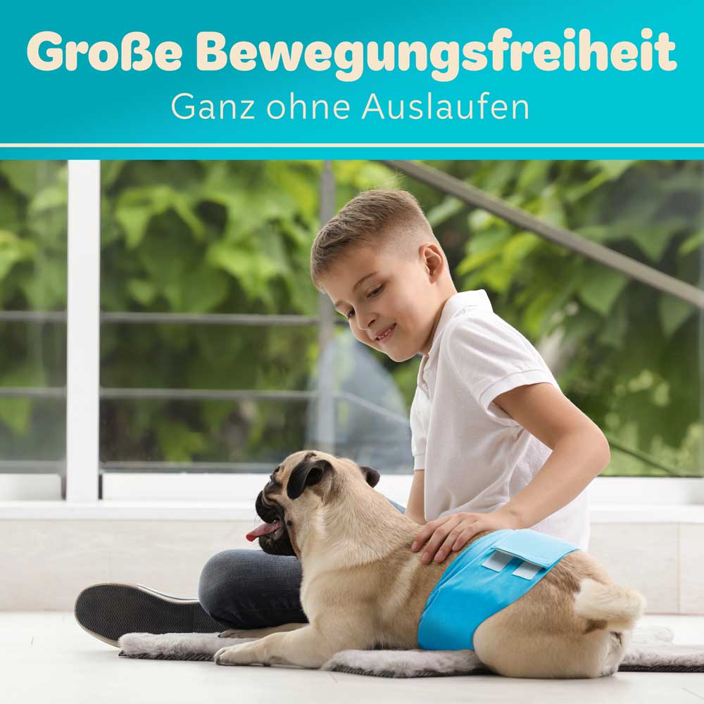 3x Saugstarke Hundewindeln für Rüden