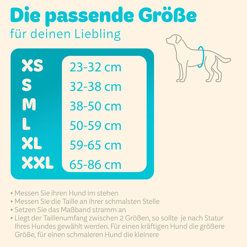 3x Saugstarke Hundewindeln für Rüden