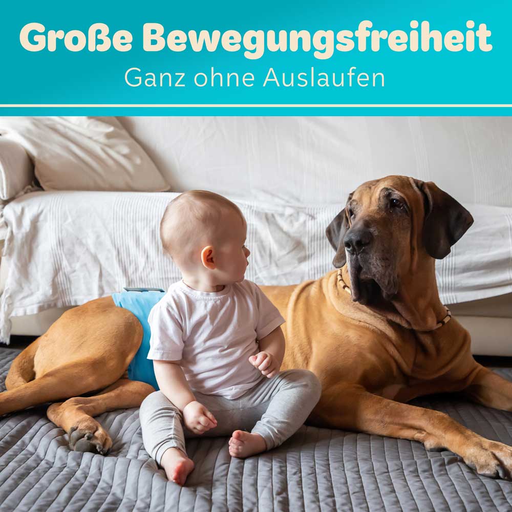 3x Saugstarke Hundewindeln für Rüden