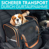 Hund in Tragetasche auf dem Beifahrersitz
