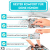 bildliche Darstellung der Qualitätsmerkmale