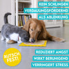 hund-leckmatten